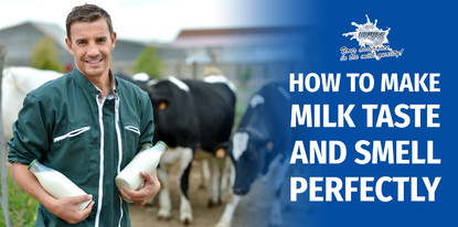 How to make milk taste and smell perfectly